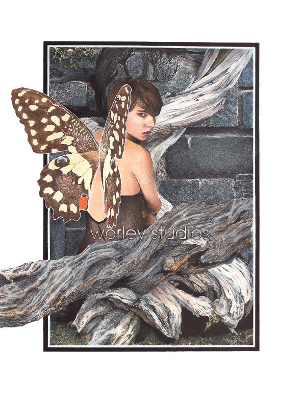 Fairy With Butterflies  Art Board Print for Sale by drawwithren